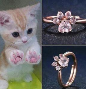ANILLO HUELLA DE GATO X 2 UNIDADES